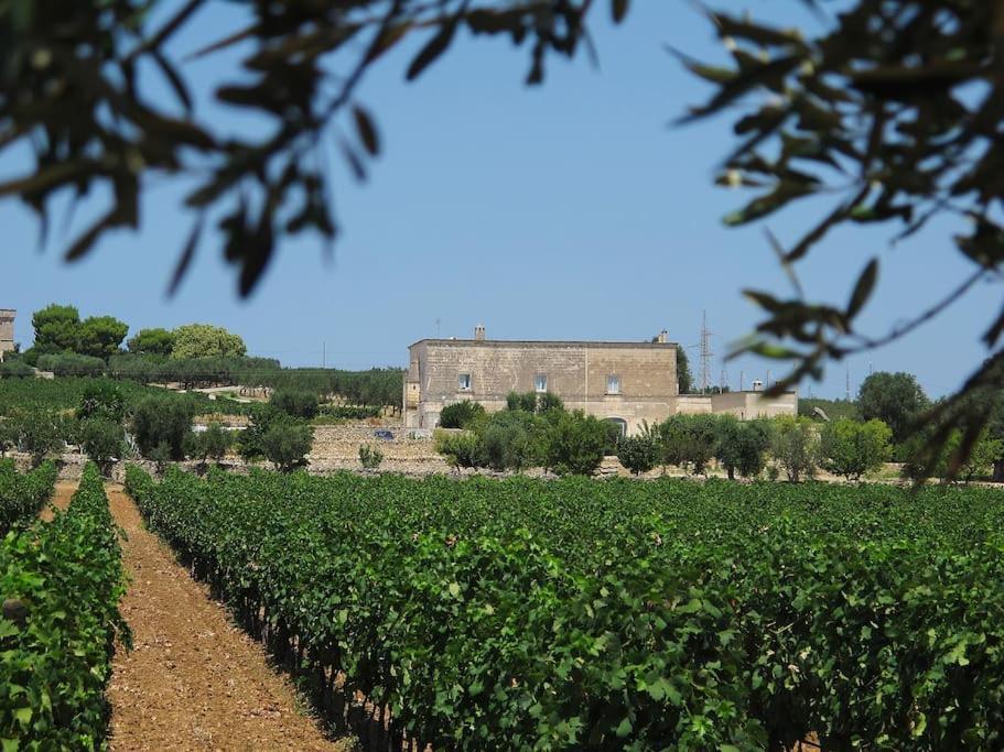 Masseria Angiulli Piccolo Contrada Angiulli 74023 Grottaglie Villa Villa Castelli Ngoại thất bức ảnh